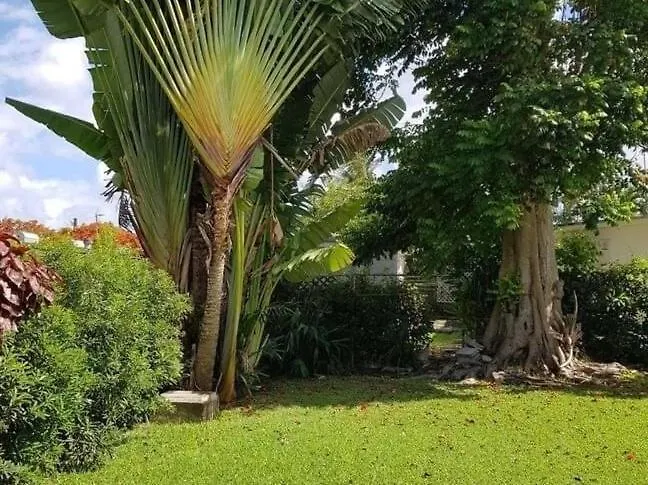 סנט ג'יימס West Coast 1 Bedroom Apartment 66 - Close To Beach